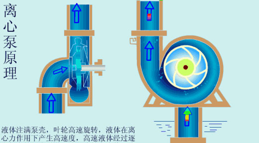 給（gei）水泵、給（ji）水泵別再傻傻分不清楚（內含動畫）