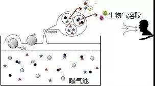 污水廠內(nèi)的生物氣溶膠,污水從業(yè)人員必讀- 污水廠內(nèi)的生物氣溶膠,污水從業(yè)人員必讀-
